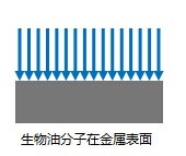 太阳gg平台地点(中国)有限公司