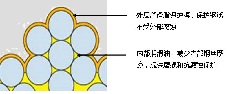 太阳gg平台地点(中国)有限公司